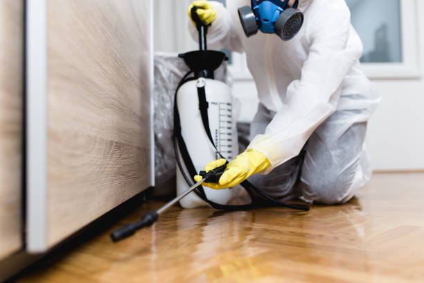 Wildlife Control Services in Palmdale, CA