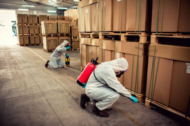 Professional Pest Control in Palmdale, CA