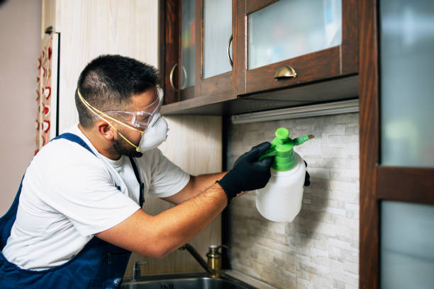 Best Exterminator Services  in Palmdale, CA