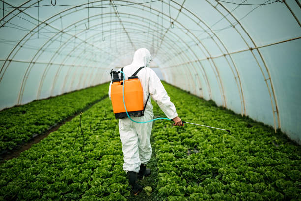 Best Insect Control  in Palmdale, CA