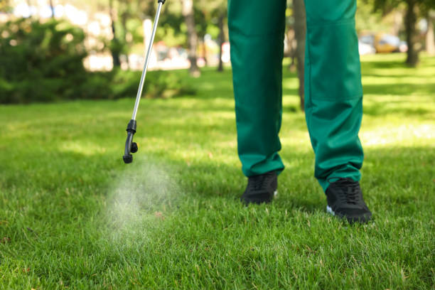 Best Pest Prevention Services  in Palmdale, CA