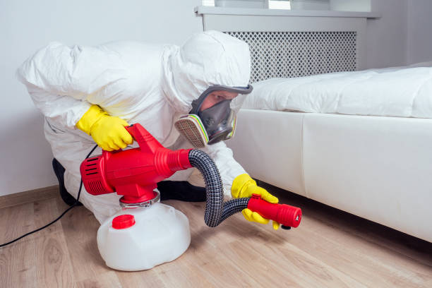 Best Bed Bug Extermination  in Palmdale, CA