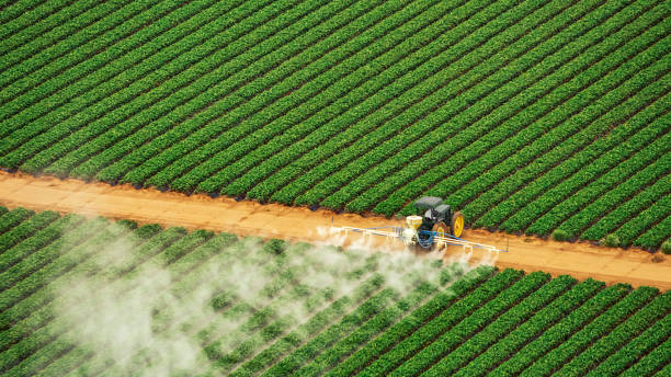 Best Mosquito Control Services  in Palmdale, CA