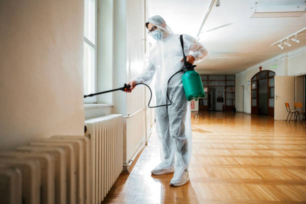Best Termite Control Services  in Palmdale, CA