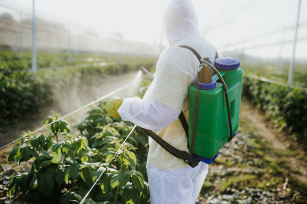 Best Flea Control Services  in Palmdale, CA